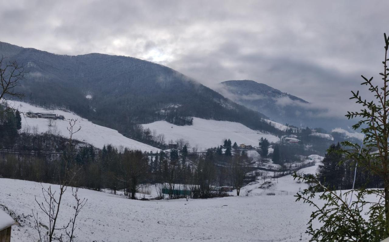 Agriturismo Green Valley Βίλα Cene Εξωτερικό φωτογραφία